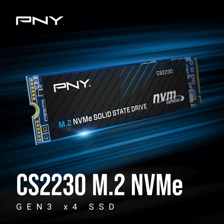 اس اس دی اینترنال پی ان وای مدل PNY CS2230 M.2 2280 ظرفیت 500 گیگابات