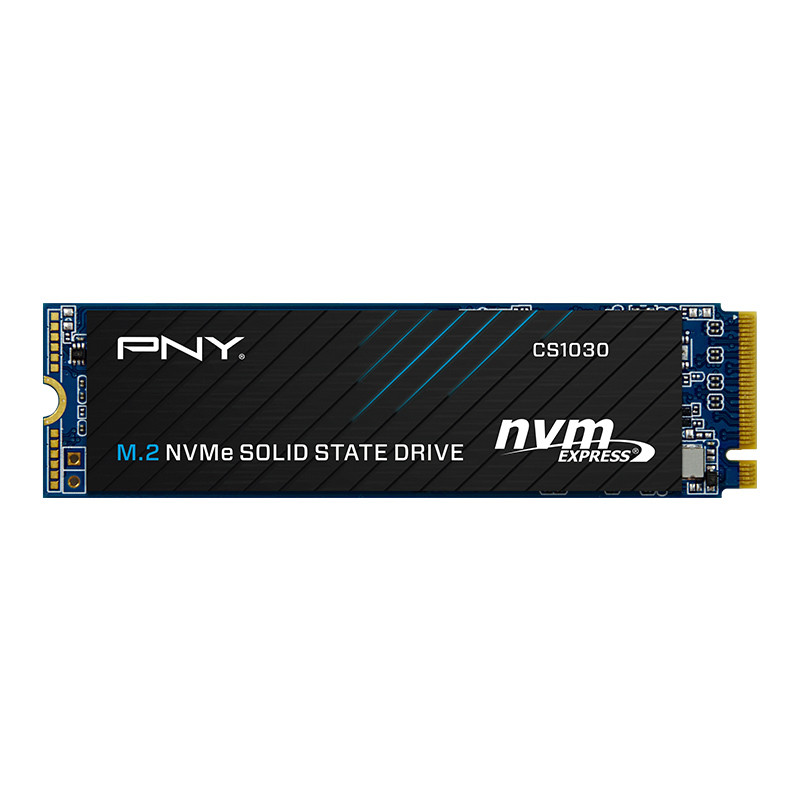 اس اس دی اینترنال پی ان وای مدل PNY CS1030 M.2 2280 ظرفیت 250 گیگابات
