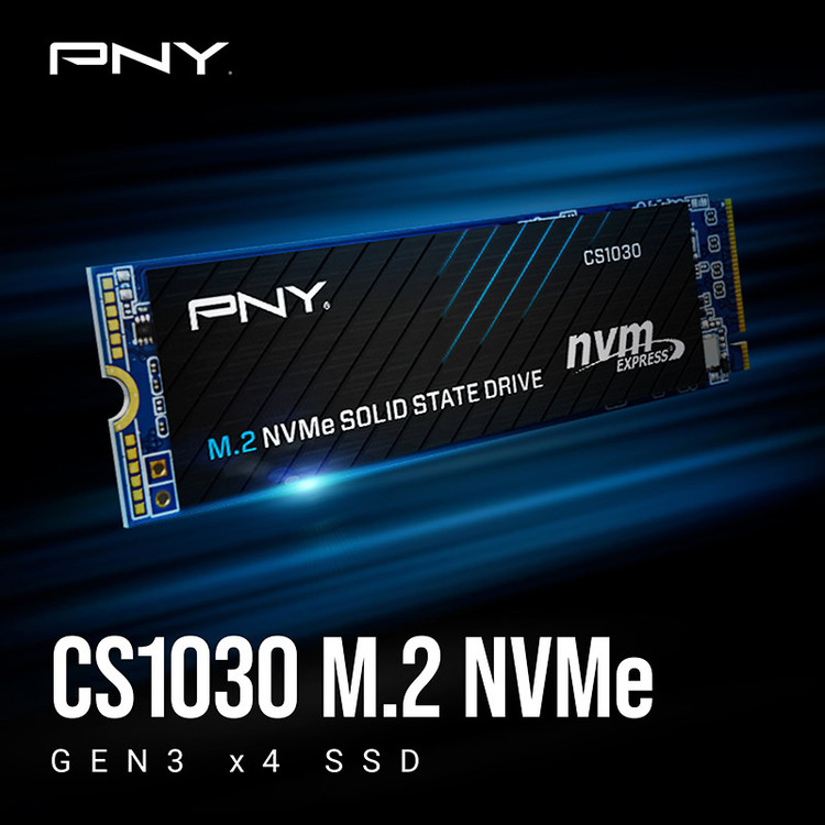 اس اس دی اینترنال پی ان وای مدل PNY CS1030 M.2 2280 ظرفیت 250 گیگابات